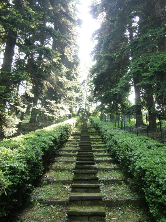 Il Colombe B&B Барцано Экстерьер фото