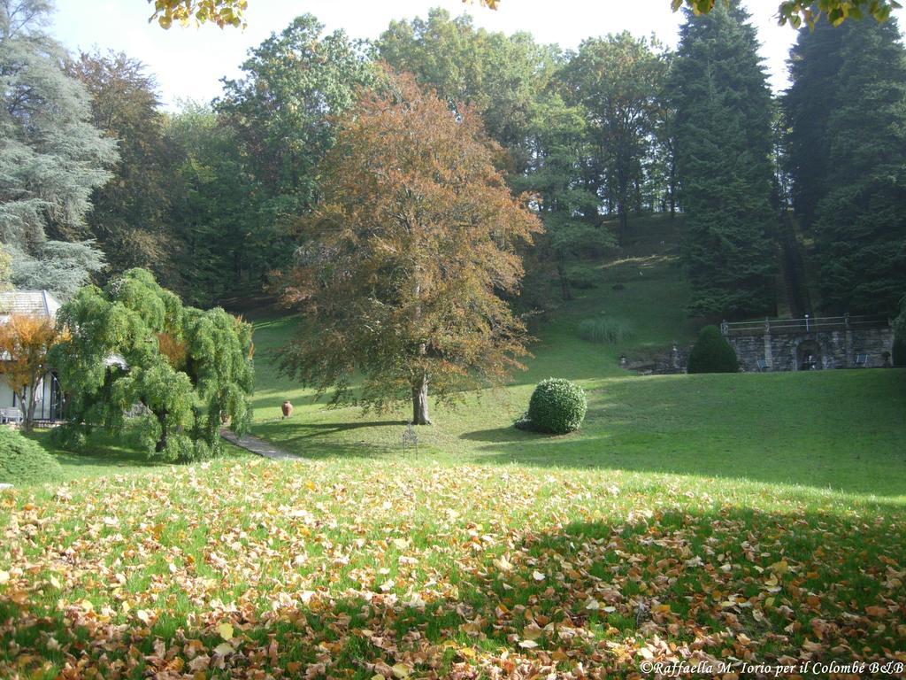 Il Colombe B&B Барцано Экстерьер фото